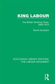 King Labour (eBook, ePUB)