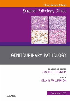 Cover Genitourinary Pathology, An Issue of Surgical Pathology Clinics E-Book (eBook, ePUB)