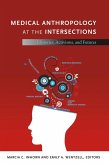 Medical Anthropology at the Intersections (eBook, PDF)