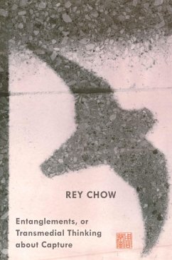 Entanglements, or Transmedial Thinking about Capture (eBook, PDF) - Rey Chow, Chow