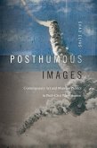 Posthumous Images (eBook, PDF)