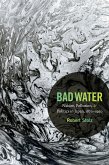 Bad Water (eBook, PDF)
