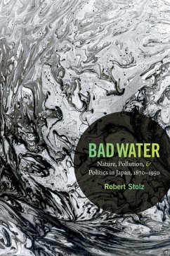 Bad Water (eBook, PDF) - Robert Stolz, Stolz