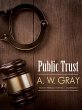 Public Trust (eBook, ePUB) - Bild 1