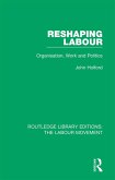 Reshaping Labour (eBook, PDF)