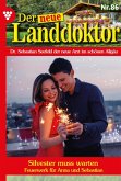 Silvester muss warten (eBook, ePUB)