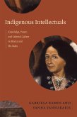Indigenous Intellectuals (eBook, PDF)