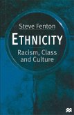 Ethnicity (eBook, PDF)