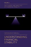 Understanding Financial Stability (eBook, PDF)