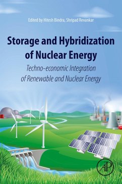 Cover Storage and Hybridization of Nuclear Energy (eBook, ePUB)