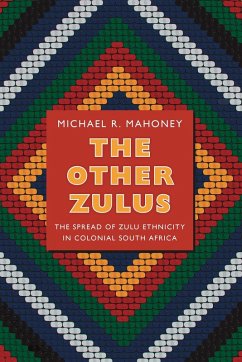 Cover Other Zulus (eBook, PDF)