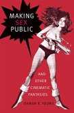 Making Sex Public and Other Cinematic Fantasies (eBook, PDF)
