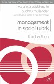 Management in Social Work (eBook, PDF)