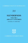 Slenderness: Volume 1, Abelian Categories (eBook, PDF)