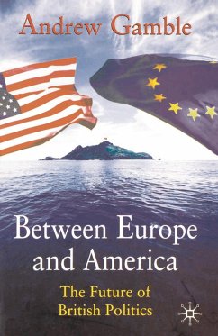 Between Europe and America (eBook, PDF)