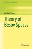 Theory of Besov Spaces (eBook, PDF)