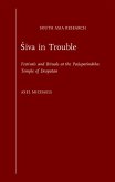 Siva in Trouble (eBook, PDF)