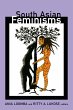 South Asian Feminisms (eBook, PDF) - Bild 1