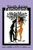 South Asian Feminisms (eBook, PDF)