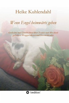 Cover Wenn Engel heimwärts gehen (eBook, ePUB)