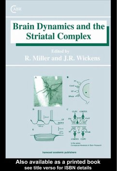 Brain Dynamics and the Striatal Complex (eBook, PDF) - Miller, Robert; Wickens, Jeffrey