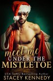 Meet Me Under The Mistletoe (Three Chicks Brewery, #0.5) (eBook, ePUB)