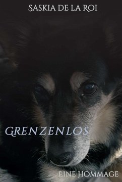 Grenzenlos (eBook, ePUB) - de la Roi, Saskia