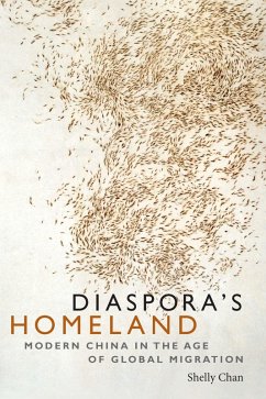 Diaspora's Homeland (eBook, PDF) - Shelly Chan, Chan
