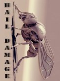 Hail Damage (eBook, ePUB)
