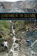 Leviathans at the Gold Mine (eBook, PDF) - Bild 1