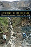 Leviathans at the Gold Mine (eBook, PDF)