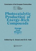 Photocatalytic Production of Energy-Rich Compounds (eBook, PDF)