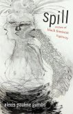 Spill (eBook, PDF)