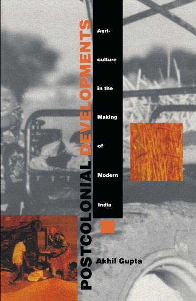 Postcolonial Developments (eBook, PDF)