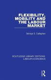 Flexibility, Mobility and the Labour Market (eBook, ePUB)