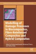 Modelling of Damage Processes in... - Bild 1