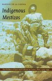 Indigenous Mestizos (eBook, PDF)