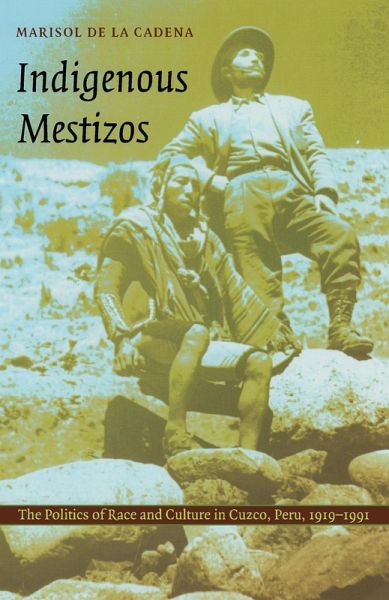 Indigenous Mestizos (eBook, PDF)