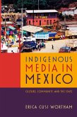 Indigenous Media in Mexico (eBook, PDF)