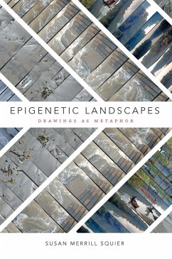 Cover Epigenetic Landscapes (eBook, PDF)