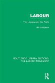 Labour (eBook, PDF)