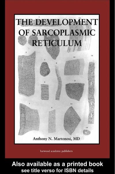 The Development of the Sarcoplasmic Reticulum (eBook, PDF) The Development of the Sarcoplasmic Reticulum (eBook, PDF)