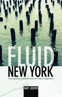 Cover Fluid New York (eBook, PDF)