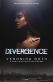 Divergence (eBook, ePUB)
