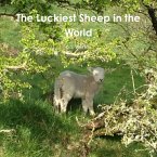 The Luckiest Sheep in the World