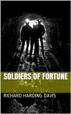 Soldiers of Fortune (eBook, PDF)