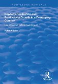 Capacity Realization and Productivity Growth in a Developing Country (eBook, PDF)
