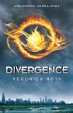 Divergence (eBook, ePUB)