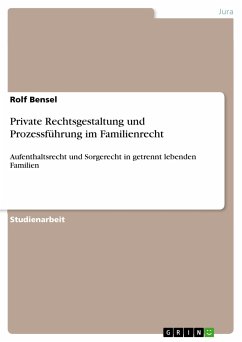 Private Rechtsgestaltung und Prozessführung im Familienrecht (eBook, PDF)