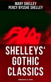 Shelleys' Gothic Classics: Frankenstein & St. Irvyne (eBook, ePUB)